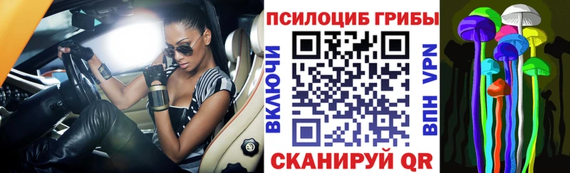 Галлюциногенные грибы Cubensis  Родники 